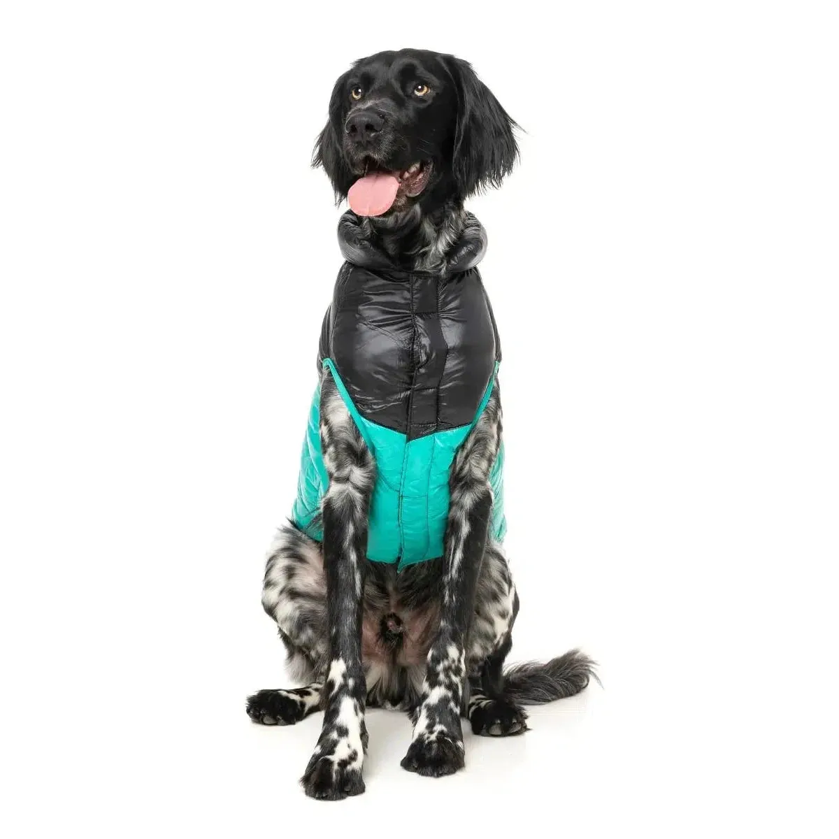 FuzzYard | South Harlem Dog Puffer Jacket - Teal