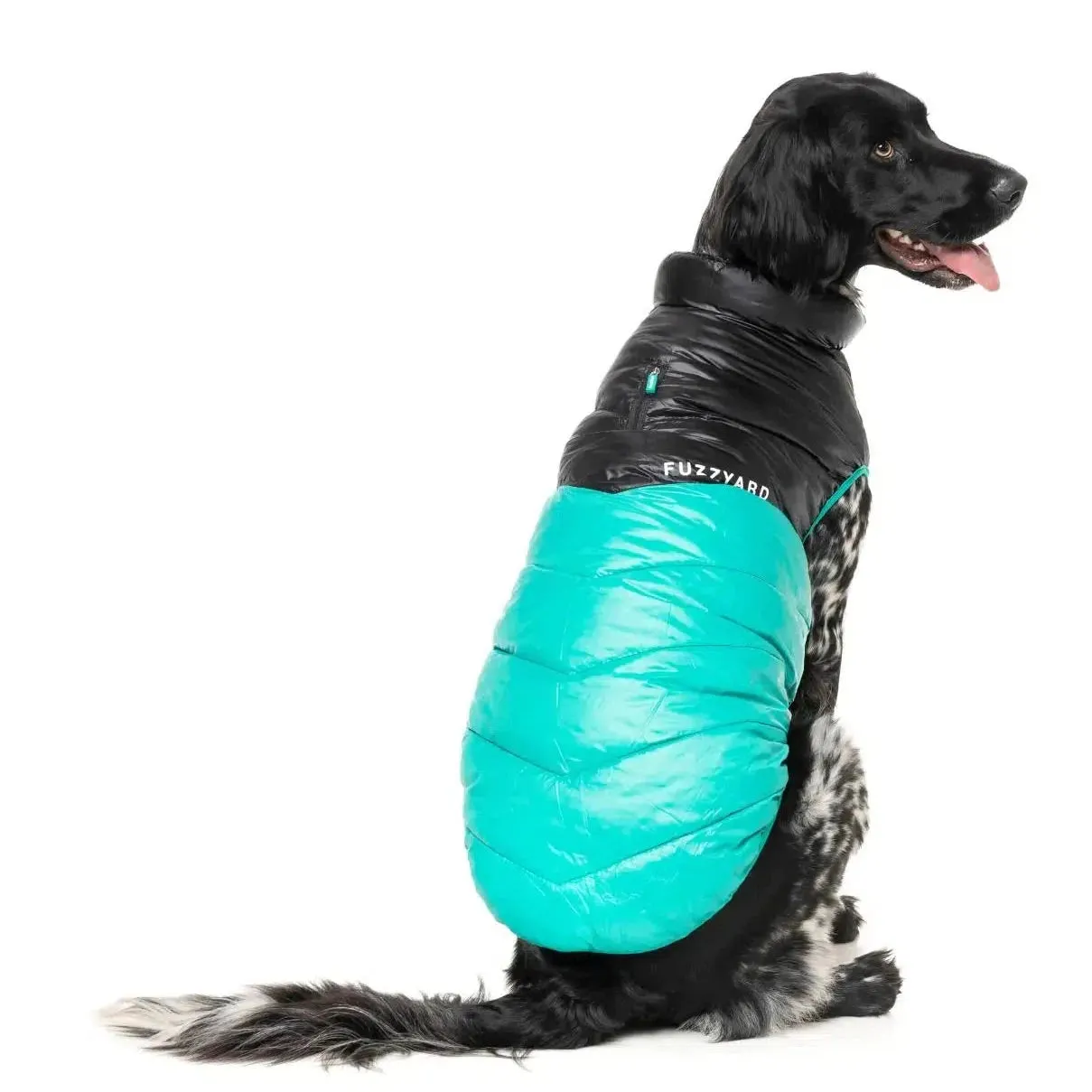 FuzzYard | South Harlem Dog Puffer Jacket - Teal